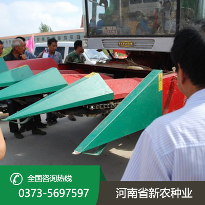 河南高产稳产玉米种子