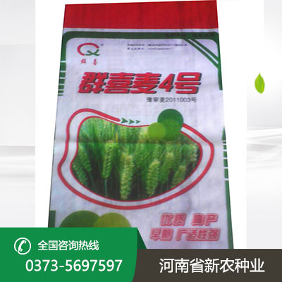 河南群喜麦4号