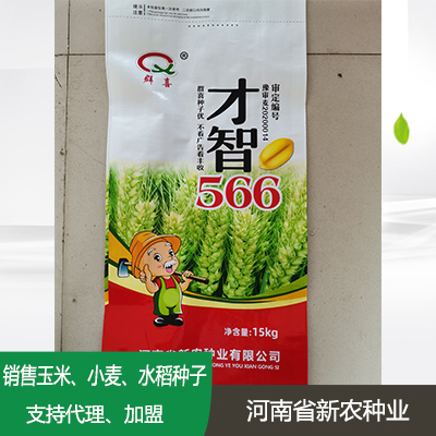 河南小麦种子加盟
