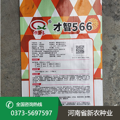 河南抗倒小麦种子